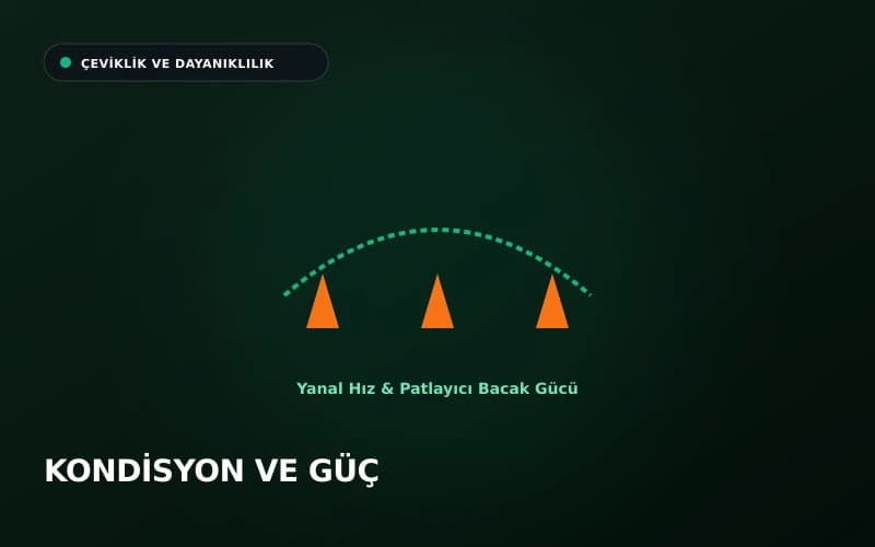 Tenis antrenman hunileri ile yanal çeviklik ve dayanıklılık çalışması
